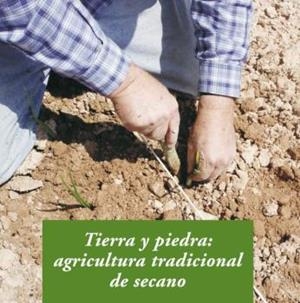 TIERRA Y PIEDRA | 9788476288955 | GROS SANTASUSANA,ALBA | Libreria Geli - Librería Online de Girona - Comprar libros en catalán y castellano