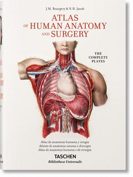 ATLAS OF HUMAN ANATOMY AND SURGERY | 9783836556637 | BOURGERY,J.M./JACOB,N.H. | Libreria Geli - Librería Online de Girona - Comprar libros en catalán y castellano