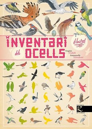 INVENTARI IL.LUSTRAT DELS OCELLS | 9788416721054 | ALADJIDI,VIRGINIE/TCHOUKRIEL,EMMANUELLE | Libreria Geli - Librería Online de Girona - Comprar libros en catalán y castellano