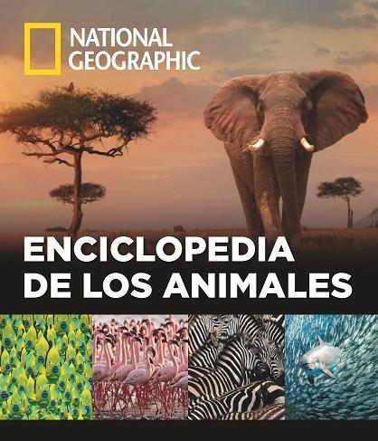 ENCICLOPEDIA DE LOS ANIMALES | 9788482986432 | Libreria Geli - Librería Online de Girona - Comprar libros en catalán y castellano