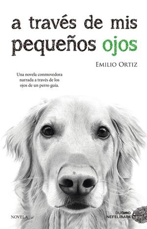 A TRAVÉS DE MIS PEQUEÑOS OJOS | 9788416634682 | ORTIZ PULIDO, EMILIO | Llibreria Geli - Llibreria Online de Girona - Comprar llibres en català i castellà