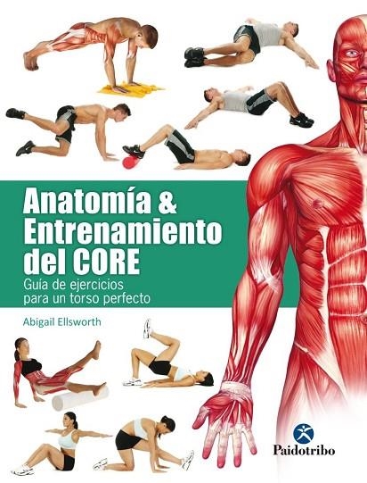 ANATOMÍA & ENTRENAMIENTO DEL CORE | 9788499106069 | ELLSWORTH,ABIGAIL | Llibreria Geli - Llibreria Online de Girona - Comprar llibres en català i castellà