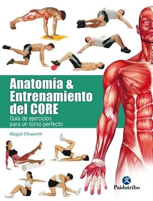 ANATOMÍA & ENTRENAMIENTO DEL CORE | 9788499106069 | ELLSWORTH,ABIGAIL | Llibreria Geli - Llibreria Online de Girona - Comprar llibres en català i castellà