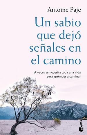 UN SABIO QUE DEJÓ SEÑALES EN EL CAMINO | 9788408166382 | PAJE,ANTOINE | Libreria Geli - Librería Online de Girona - Comprar libros en catalán y castellano