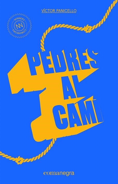 PEDRES AL CAMÍ | 9788416605521 | PANICELLO,VÍCTOR | Libreria Geli - Librería Online de Girona - Comprar libros en catalán y castellano