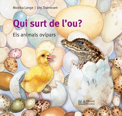 QUI SURT DE L'OU? ELS ANIMALS OVÍPARS | 9788426144096 | LANGE,MONIKA/THONISSEN,UTE | Libreria Geli - Librería Online de Girona - Comprar libros en catalán y castellano