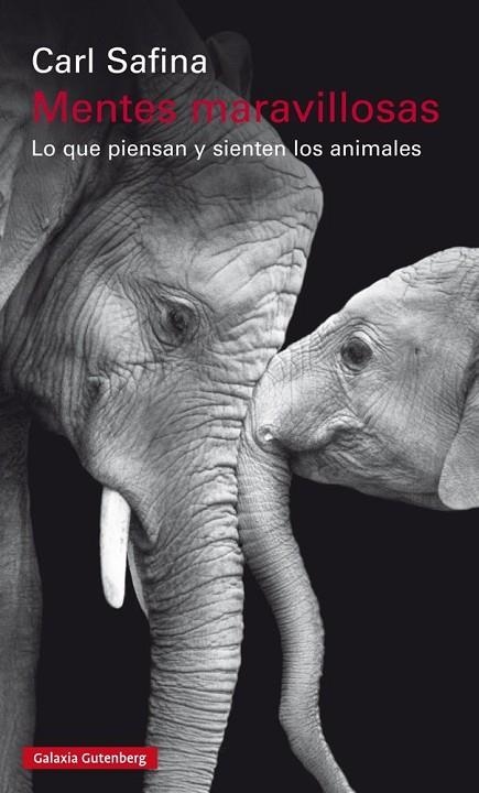 MENTES MARAVILLOSAS.LO QUE PIENSAN Y SIENTEN LOS ANIMALES | 9788481095746 | SAFINA,CARL | Llibreria Geli - Llibreria Online de Girona - Comprar llibres en català i castellà
