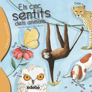 ELS CINC SENTITS DELS ANIMALS | 9788468329635 | ALGARRA,ALEJANDRO/BONILLA,ROCÍO | Llibreria Geli - Llibreria Online de Girona - Comprar llibres en català i castellà