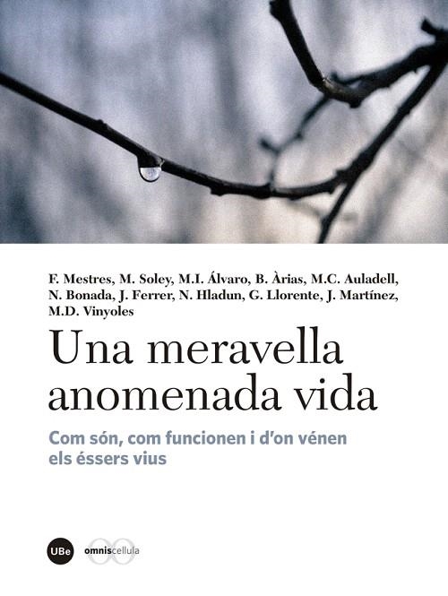 UNA MERAVELLA ANOMENADA VIDA | 9788447540310 | A.A.D.D. | Libreria Geli - Librería Online de Girona - Comprar libros en catalán y castellano