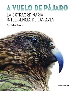 A VUELO DE PAJARO.LA EXTRAORDINARIA INTELIGENCIA DE LAS AVES | 9788416851096 | EMERY,NATHAN,DR. | Libreria Geli - Librería Online de Girona - Comprar libros en catalán y castellano