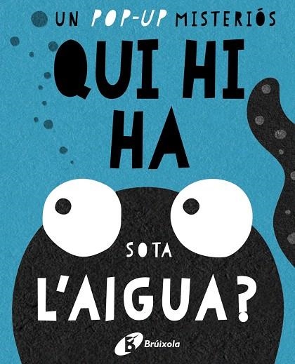 QUI HI HA SOTA L'AIGUA? | 9788499067667 | Libreria Geli - Librería Online de Girona - Comprar libros en catalán y castellano