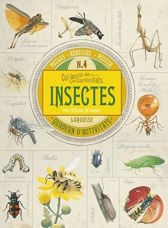 INSECTES.UNA INFINITAT DE CUQUES | 9788416641734 |   | Libreria Geli - Librería Online de Girona - Comprar libros en catalán y castellano