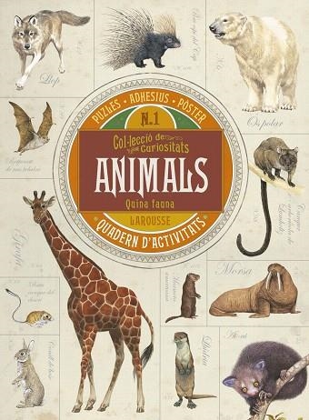 ANIMALS.QUINA FAUNA | 9788416641703 | 0 | Libreria Geli - Librería Online de Girona - Comprar libros en catalán y castellano