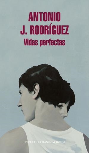 VIDAS PERFECTAS | 9788439732891 | RODRÍGUEZ,ANTONIO J. | Libreria Geli - Librería Online de Girona - Comprar libros en catalán y castellano