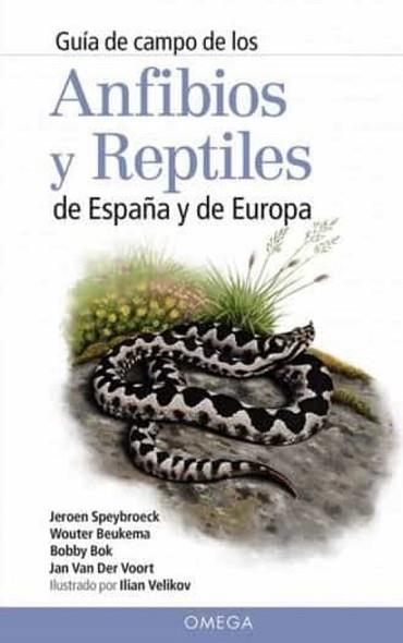 GUÍA DE CAMPO DE LOS ANFIBIOS Y REPTILES DE ESPAÑA Y DE EUROPA | 9788428216647 | SPEYBROECK,JEROEN | Libreria Geli - Librería Online de Girona - Comprar libros en catalán y castellano