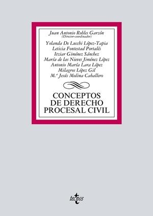 CONCEPTOS DE DERECHO PROCESAL CIVIL | 9788430971589 | ROBLES GARZÓN, JUAN ANTONIO/LUCCHI LÓPEZ-TAPIA, YOLANDA DE/FONTESTAD PORTALÉS, LETICIA/GIMÉNEZ SÁNCH | Libreria Geli - Librería Online de Girona - Comprar libros en catalán y castellano