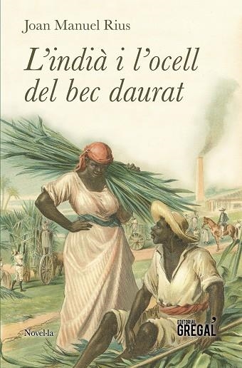 L'INDIÀ I L'OCELL DEL BEC DAURAT | 9788417082123 | RIUS,JOAN MANUEL | Libreria Geli - Librería Online de Girona - Comprar libros en catalán y castellano