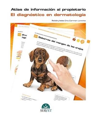 EL DIAGNÓSTICO EN DERMATOLOGÍA.ATLAS DE INFORMACIÓN AL PROPIETARIO | 9788416315390 | V.V.A.A. | Llibreria Geli - Llibreria Online de Girona - Comprar llibres en català i castellà