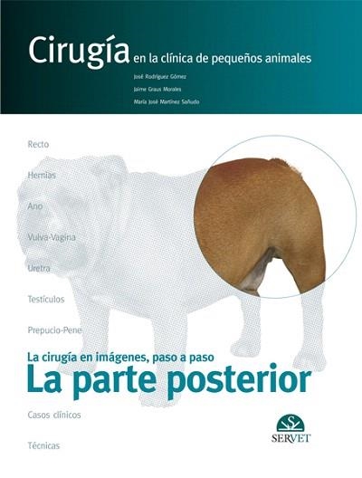 LA PARTE POSTERIOR.CIRUGÍA EN LA CLÍNICA DE PEQUEÑOS ANIMALES | 9788493292171 | RODRÍGUEZ GÓMEZ,JOSÉ/GRAUS MORALES,JAIME/MARTÍNEZ SAÑUDO,MARÍA JOSÉ | Libreria Geli - Librería Online de Girona - Comprar libros en catalán y castellano