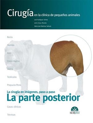 LA PARTE POSTERIOR.CIRUGÍA EN LA CLÍNICA DE PEQUEÑOS ANIMALES | 9788493292171 | RODRÍGUEZ GÓMEZ,JOSÉ/GRAUS MORALES,JAIME/MARTÍNEZ SAÑUDO,MARÍA JOSÉ | Llibreria Geli - Llibreria Online de Girona - Comprar llibres en català i castellà