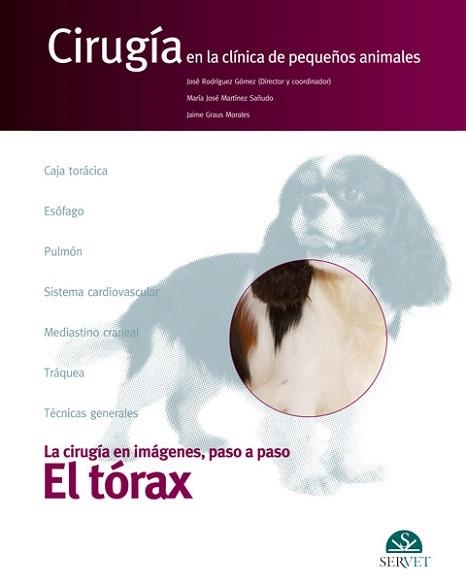 EL TÓRAX.CIRUGÍA EN LA CLÍNICA DE PEQUEÑOS ANIMALES | 9788492569670 | RODRÍGUEZ GÓMEZ,JOSÉ/MARTÍNEZ SAÑUDO,MARÍA JOSÉ/GRAUS MORALES,JAIME | Libreria Geli - Librería Online de Girona - Comprar libros en catalán y castellano