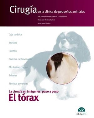 EL TÓRAX.CIRUGÍA EN LA CLÍNICA DE PEQUEÑOS ANIMALES | 9788492569670 | RODRÍGUEZ GÓMEZ,JOSÉ/MARTÍNEZ SAÑUDO,MARÍA JOSÉ/GRAUS MORALES,JAIME | Llibreria Geli - Llibreria Online de Girona - Comprar llibres en català i castellà