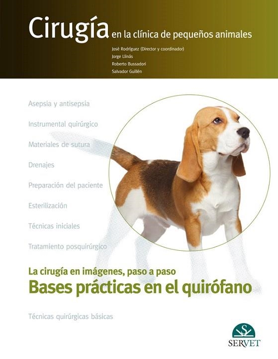 BASES PRÁCTICAS EN EL QUIRÓFANO | 9788416315994 | RODRÍGUEZ GÓMEZ,JOSÉ/LLINÁS CEBALLOS,JORGE/BUSSADORI,ROBERTO/GUILLÉN CRIADO,SALVADOR | Libreria Geli - Librería Online de Girona - Comprar libros en catalán y castellano