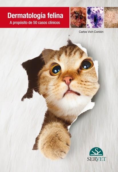 DERMATOLOGÍA FELINA.A PROPÓSITO DE 50 CASOS CLÍNICOS | 9788492569748 | VICH CORDÓN,CARLOS | Libreria Geli - Librería Online de Girona - Comprar libros en catalán y castellano
