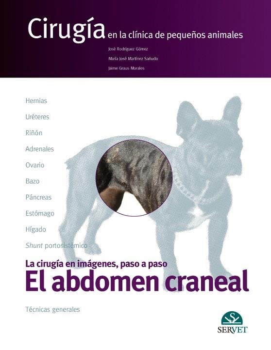 EL ABDOMEN CRANEAL.CIRUGÍA EN LA CLÍNICA DE PEQUEÑOS ANIMALES | 9788492569090 | RODRÍGUEZ GÓMEZ,JOSÉ/MARTÍNEZ SAÑUDO,MARÍA JOSÉ/GRAUS MORALES,JAIME | Libreria Geli - Librería Online de Girona - Comprar libros en catalán y castellano