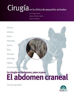 EL ABDOMEN CRANEAL.CIRUGÍA EN LA CLÍNICA DE PEQUEÑOS ANIMALES | 9788492569090 | RODRÍGUEZ GÓMEZ,JOSÉ/MARTÍNEZ SAÑUDO,MARÍA JOSÉ/GRAUS MORALES,JAIME | Llibreria Geli - Llibreria Online de Girona - Comprar llibres en català i castellà