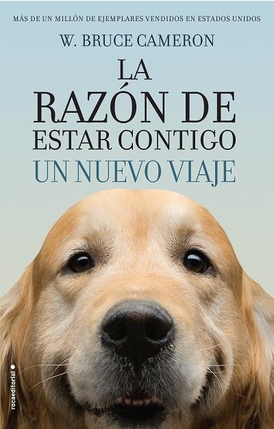 LA RAZÓN DE ESTAR CONTIGO.UN NUEVO VIAJE | 9788416867912 | CAMERON,W. BRUCE | Libreria Geli - Librería Online de Girona - Comprar libros en catalán y castellano