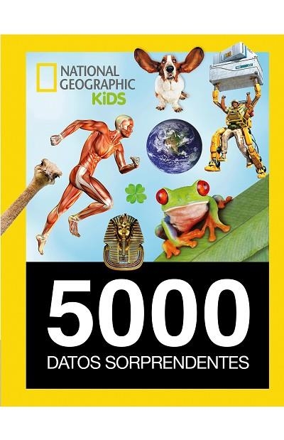 5.000 DATOS SORPRENDENTES | 9788482986159 | VARIOS AUTORES | Libreria Geli - Librería Online de Girona - Comprar libros en catalán y castellano