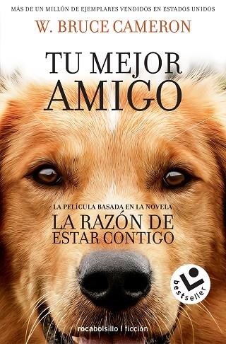 LA RAZóN DE ESTAR CONTIGO | 9788416240920 | CAMERON,W.BRUCE | Llibreria Geli - Llibreria Online de Girona - Comprar llibres en català i castellà