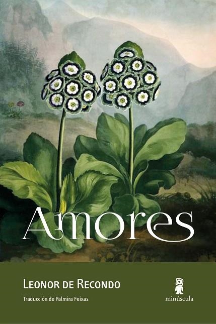 AMORES | 9788494675478 | DE RECONDO,LEONOR | Libreria Geli - Librería Online de Girona - Comprar libros en catalán y castellano