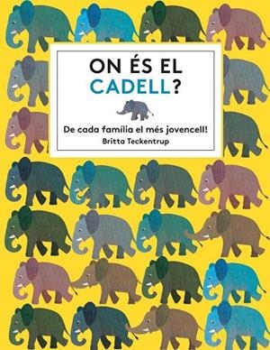 ON ÉS EL CADELL?DE CADA FAMÍLIA EL MÉS JOVENCELL! | 9788494681561 | HAWORTH,KATIE | Llibreria Geli - Llibreria Online de Girona - Comprar llibres en català i castellà