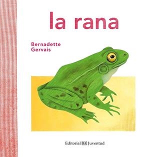 LA RANA | 9788426144584 | GERVAIS,BERNADETTE | Llibreria Geli - Llibreria Online de Girona - Comprar llibres en català i castellà