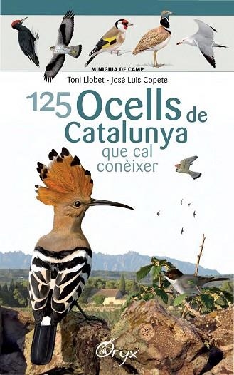 125 OCELLS DE CATALUNYA | 9788490346747 | LLOBET FRANÇOIS,TONI/COPETE,JOSÉ LUIS | Libreria Geli - Librería Online de Girona - Comprar libros en catalán y castellano