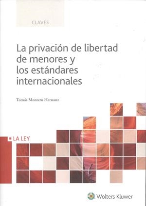 LA PRIVACION DE LIBERTAD DE MENORES Y LOS ESTANDARES INTERNACIONALES | 9788490206812 | MONTERO HERNANZ,TOMAS | Llibreria Geli - Llibreria Online de Girona - Comprar llibres en català i castellà