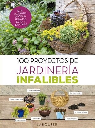 100 PROYECTOS DE JARDINERíA INFALIBLES | 9788416984725 | DELVAUX,CATHERINE | Libreria Geli - Librería Online de Girona - Comprar libros en catalán y castellano