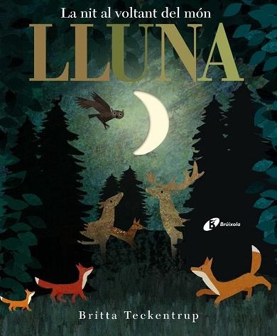 LLUNA LA NIT AL VOLTANT DEL MÓN | 9788499068497 | HEGARTY,PATRICIA | Libreria Geli - Librería Online de Girona - Comprar libros en catalán y castellano