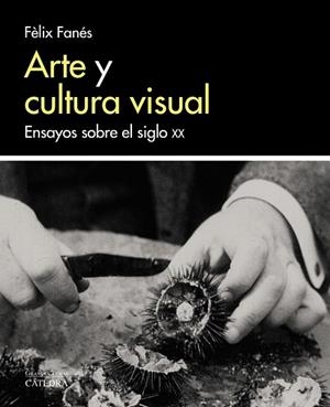 ARTE Y CULTURA VISUAL.ENSAYOS SOBRE EL SIGLO XX | 9788437638058 | FANÉS,FÈLIX | Llibreria Geli - Llibreria Online de Girona - Comprar llibres en català i castellà