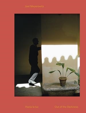 HACIA LA LUZ. | 9788417048433 | MEYEROWITZ,JOEL | Llibreria Geli - Llibreria Online de Girona - Comprar llibres en català i castellà