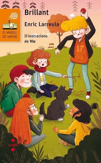 BRILLANT | 9788466143905 | LARREULA VIDAL,ENRIC | Libreria Geli - Librería Online de Girona - Comprar libros en catalán y castellano