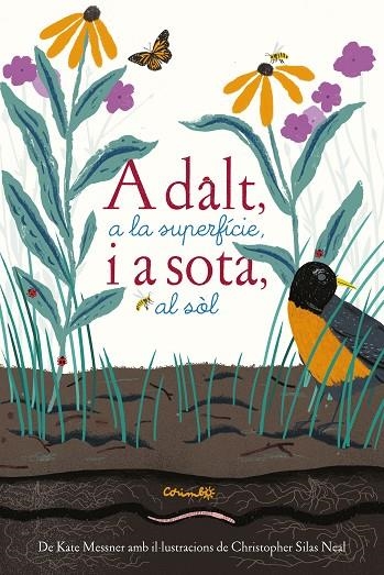 A DALT,A LA SUPERFICIE,I A SOTA, AL SOL | 9788484705765 | MESSNER,KATE/SILAS NEAL,CHRISTOPHER | Llibreria Geli - Llibreria Online de Girona - Comprar llibres en català i castellà
