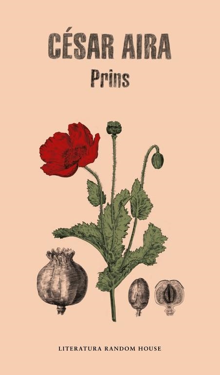 PRINS | 9788439734352 | AIRA,CÉSAR | Libreria Geli - Librería Online de Girona - Comprar libros en catalán y castellano
