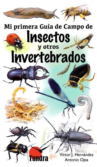 INSECTOS Y OTROS INVERTEBRADOS(MI PRIMERA GUIA DE CAMPO) | 9788416702435 | HERNANDEZ,VICTOR J. | Libreria Geli - Librería Online de Girona - Comprar libros en catalán y castellano