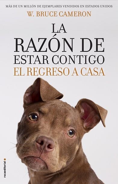 LA RAZÓN DE ESTAR CONTIGO. EL REGRESO A CASA | 9788417092887 | CAMERON,W. BRUCE | Libreria Geli - Librería Online de Girona - Comprar libros en catalán y castellano