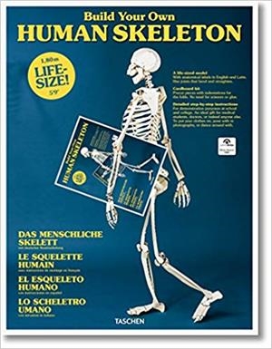 BUILD YOUR OWN HUMAN SKELETON | 9783836572545 | Llibreria Geli - Llibreria Online de Girona - Comprar llibres en català i castellà