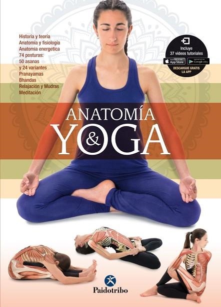 ANATOMÍA & YOGA | 9788499106526 | PATIÑO COLL,MIREIA | Libreria Geli - Librería Online de Girona - Comprar libros en catalán y castellano