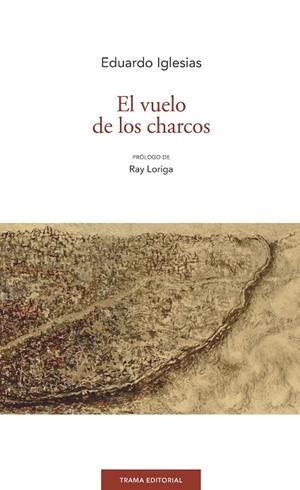 EL VUELO DE LOS CHARCOS | 9788494846519 | IGLESIAS,EDUARDO | Libreria Geli - Librería Online de Girona - Comprar libros en catalán y castellano